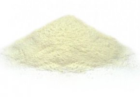 Organic yoghurt powder